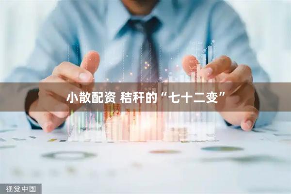 小散配资 秸秆的“七十二变”