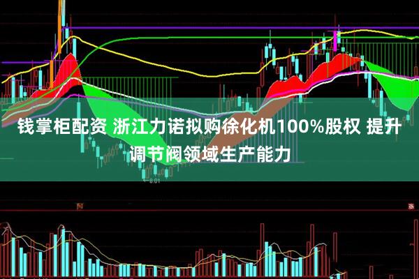 钱掌柜配资 浙江力诺拟购徐化机100%股权 提升调节阀领域生产能力