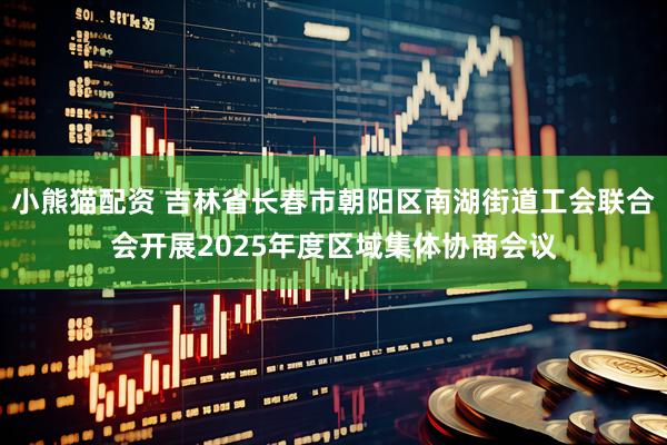 小熊猫配资 吉林省长春市朝阳区南湖街道工会联合会开展2025年度区域集体协商会议